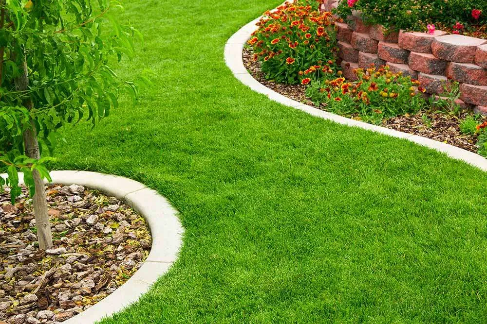 Discover the top-rated Patio Paver Sealer